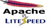 perbedaan litespeed dan apache