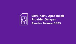 0895 kartu apa dan daerah mana